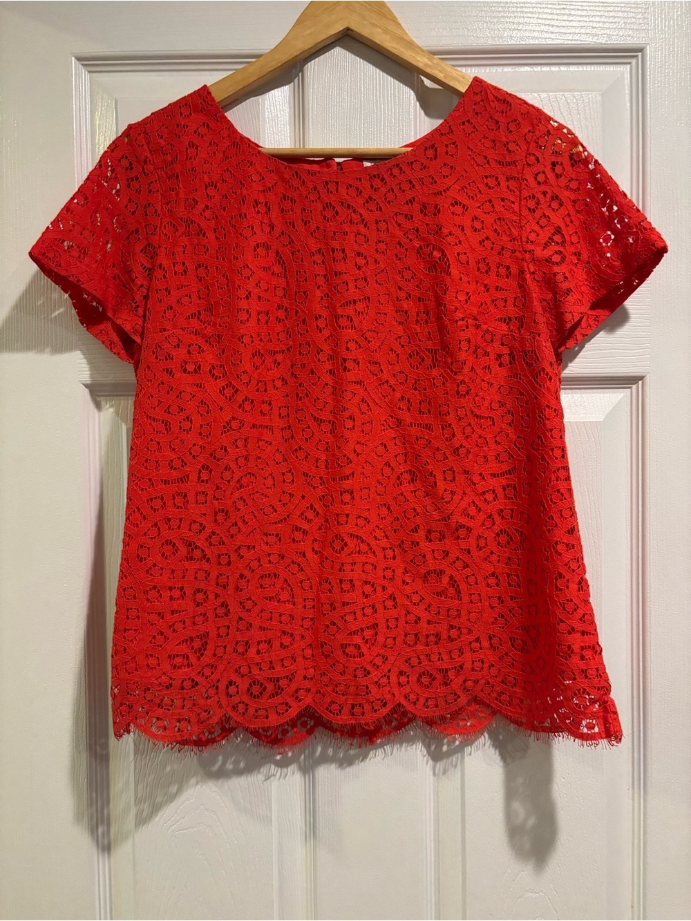 J. Crew Red Lace Short-Sleeve Blouse